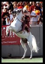 Ардершир Радпоур: 451x635 / 68 Кб