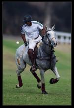 Ардершир Радпоур: 436x631 / 47 Кб