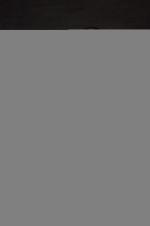 Ким Шинг Вонг: 1365x2048 / 48 Кб