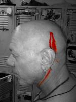 Шеридан Крист: 478x640 / 49 Кб