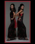 Кристиан Питре: 483x604 / 28 Кб