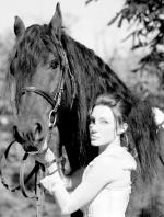 Нив Гачев: 459x604 / 65 Кб