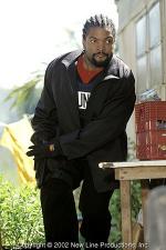 Айс Кьюб: 300x450 / 33 Кб