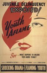 Постер Youth Aflame: 966x1500 / 297 Кб