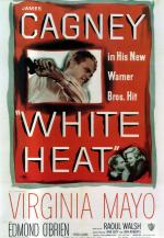 Постер Белая горячка: 1039x1500 / 218 Кб