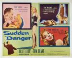 Постер Sudden Danger: 535x427 / 58 Кб