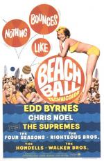 Постер Beach Ball: 393x610 / 62 Кб