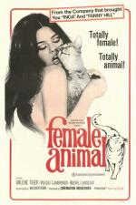 Постер Female Animal: 505x755 / 67 Кб