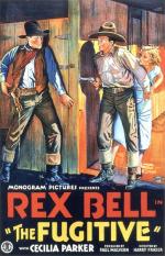 Постер The Fugitive: 487x755 / 102 Кб