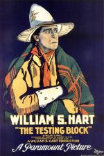 Постер The Testing Block: 999x1500 / 346 Кб