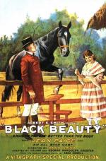 Постер Black Beauty: 498x755 / 111 Кб