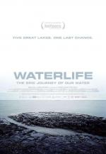 Постер Waterlife: 522x755 / 55 Кб