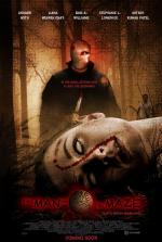 Постер The Man in the Maze: 510x755 / 79 Кб