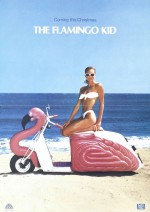 Постер Парень из «Фламинго»: 750x1057 / 187.16 Кб