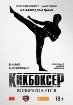 Постер Кикбоксер возвращается: 800x1143 / 95.71 Кб