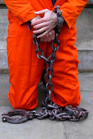 Голливуд готов раскрыть секреты Гуантанамо