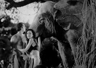 Фото - Тарзан: Человек-обезьяна: 320x228 / 23 Кб