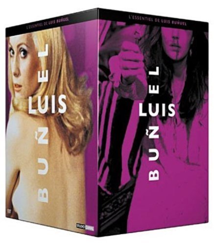 Фото - Дневная красавица: 437x500 / 39 Кб