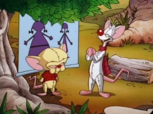 Фото - Пинки и Брейн: 494x368 / 66.2 Кб