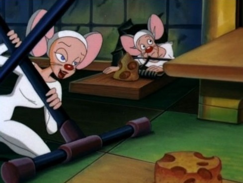 Фото - Пинки и Брейн: 489x368 / 48.49 Кб