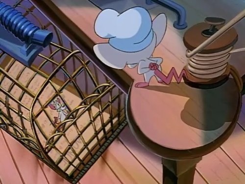 Фото - Пинки и Брейн: 500x375 / 56.2 Кб