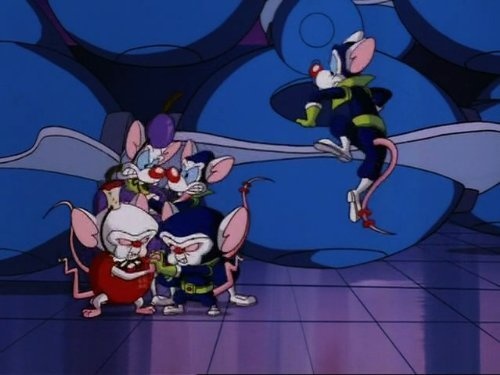 Фото - Пинки и Брейн: 500x375 / 40.57 Кб