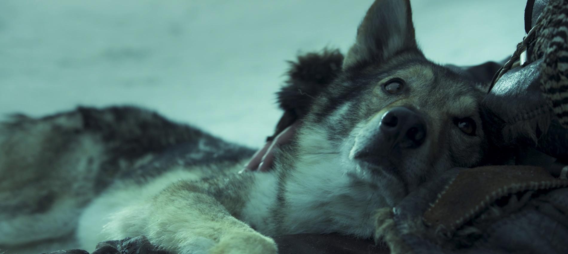 Фото - Альфа: 1900x850 / 97.62 Кб