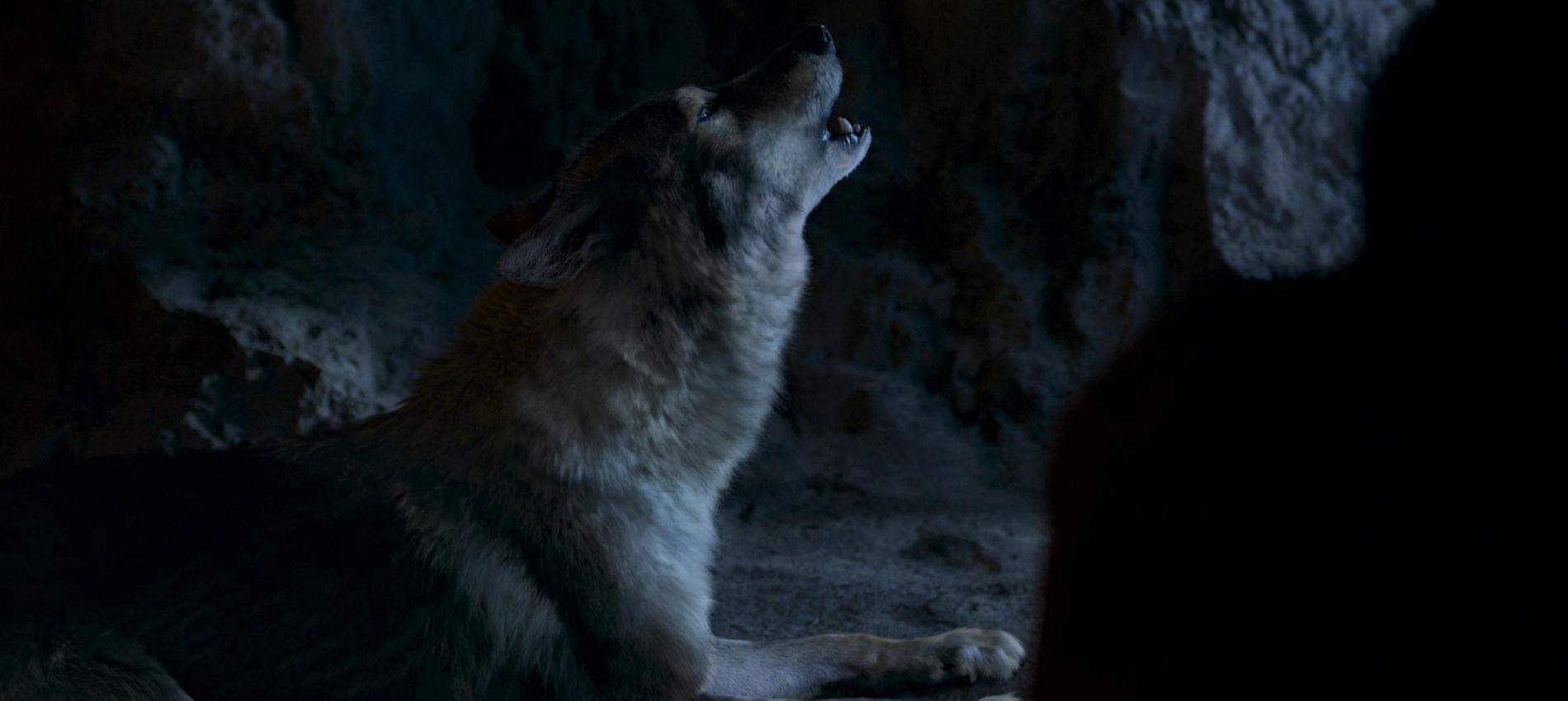 Фото - Альфа: 1900x850 / 73.3 Кб