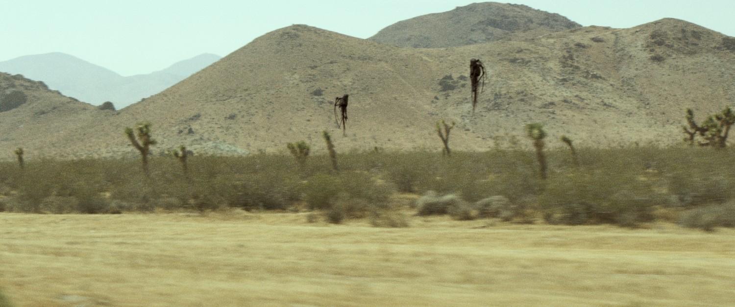 Фото - Монстры юга: 1500x628 / 100.7 Кб