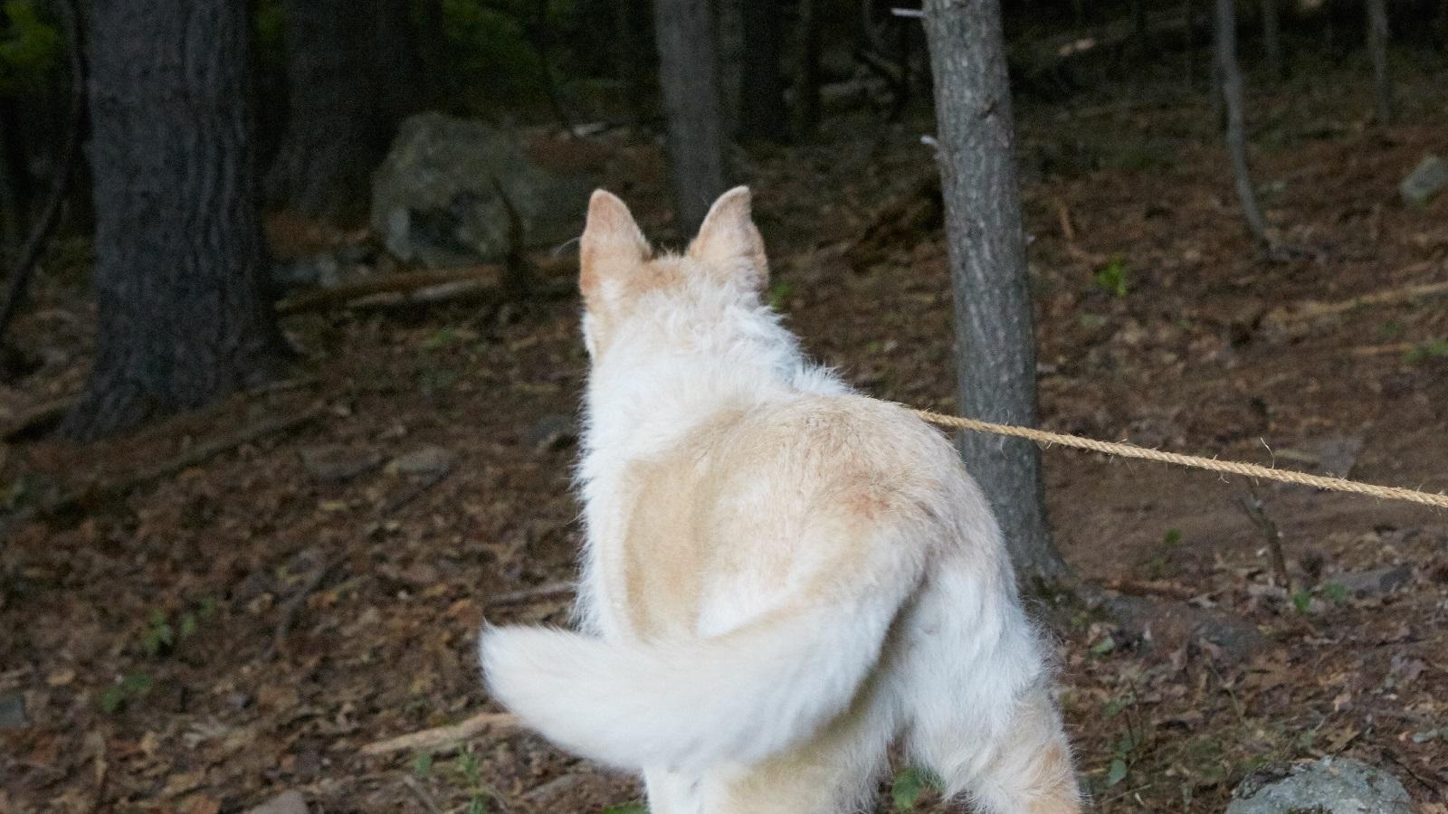 Фото - Оно приходит ночью: 1600x900 / 176.35 Кб