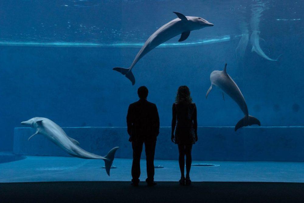 Фото - Везучая: 1000x668 / 46.91 Кб