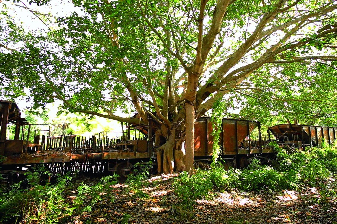 Фото - Демоны в раю: 1400x934 / 407.93 Кб