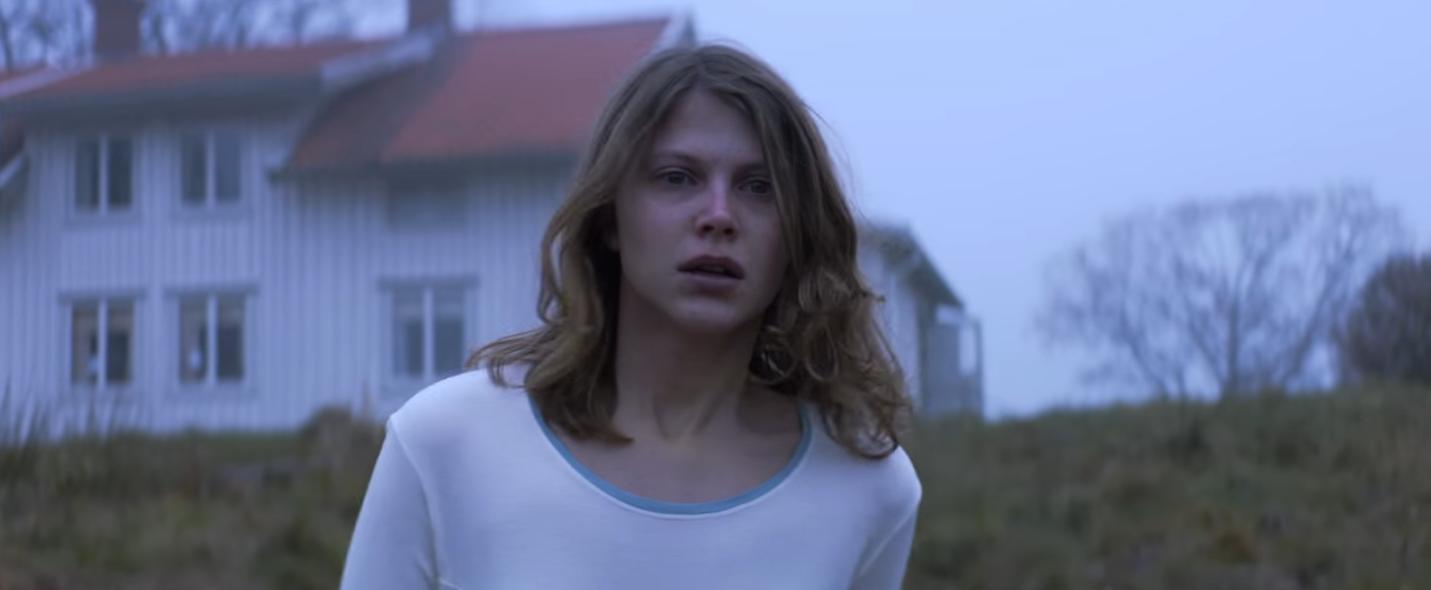 Фото - Тельма: 1431x590 / 41.19 Кб