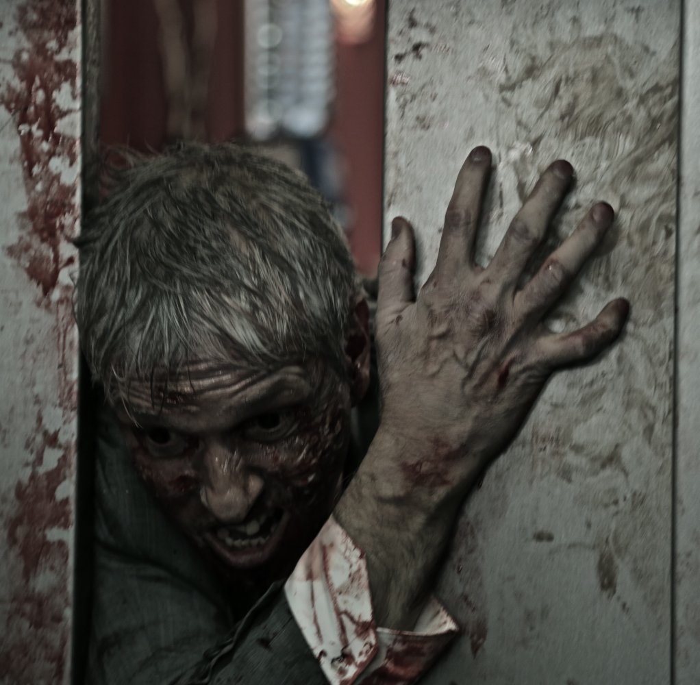 Фото - In un giorno la fine: 1022x1000 / 131.11 Кб