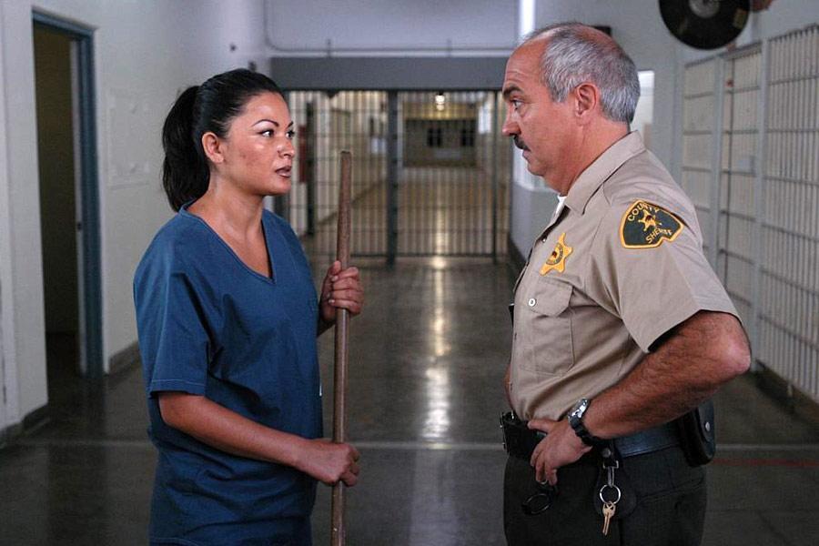 Фото - Девять жизней: 900x600 / 64.13 Кб