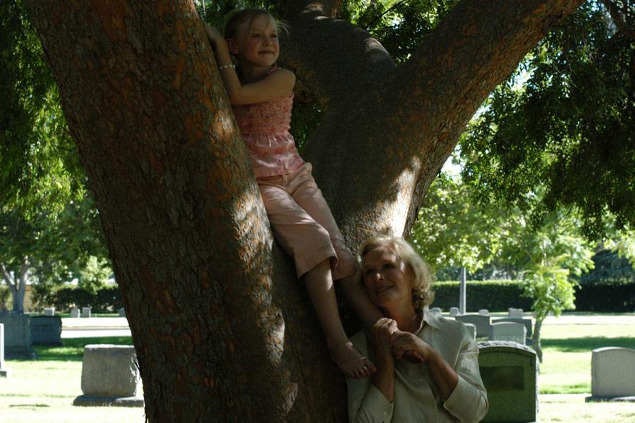 Фото - Девять жизней: 900x600 / 89.6 Кб