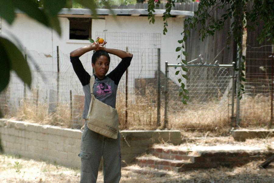 Фото - Девять жизней: 900x600 / 78.66 Кб