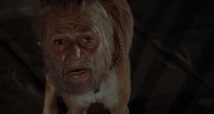 Фото - Вторжение похитителей тел: 720x384 / 19.23 Кб