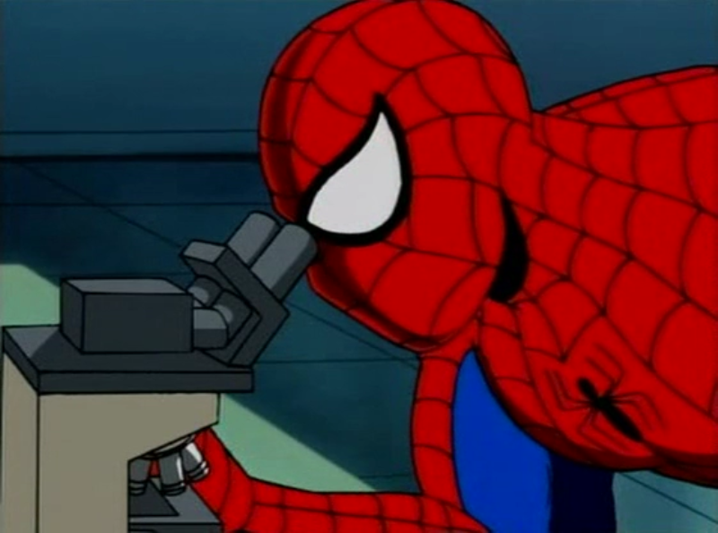 Фото - Человек-паук: 800x594 / 342.48 Кб