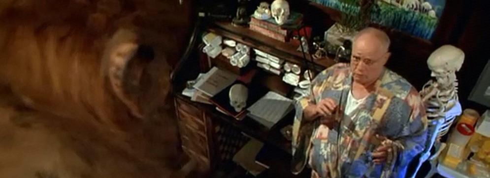 Фото - Остров доктора Моро: 995x363 / 40.29 Кб