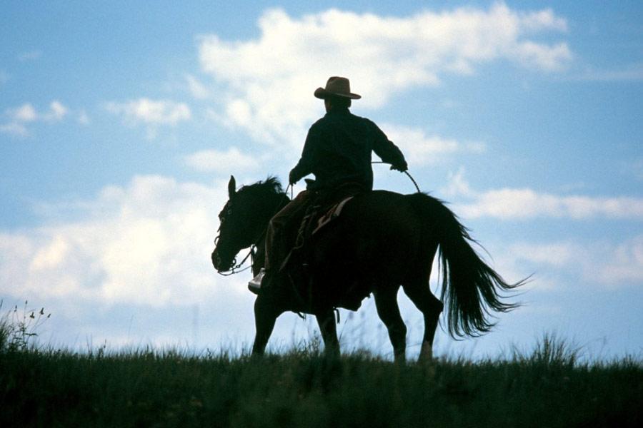 Фото - Заклинатель лошадей: 900x600 / 48.76 Кб