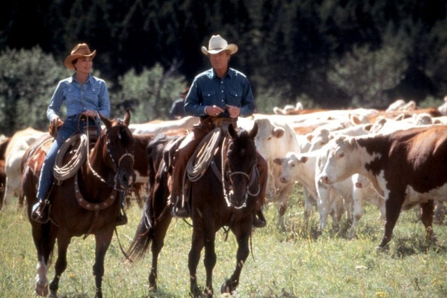 Фото - Заклинатель лошадей: 900x600 / 79.34 Кб