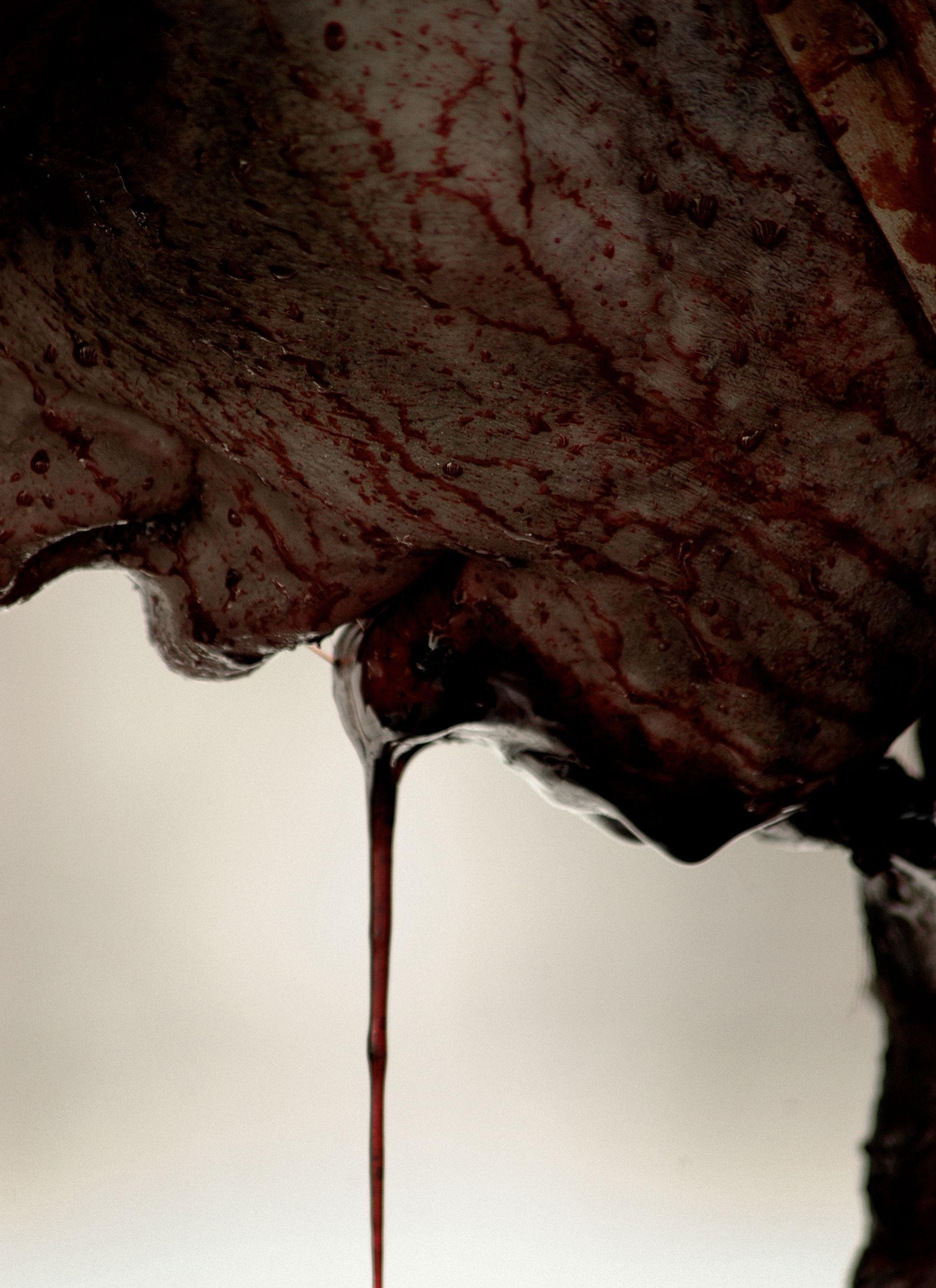 Фото - Операция «Мертвый снег»: 1934x2662 / 531.77 Кб