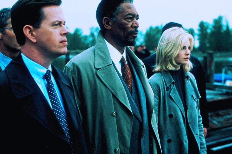 Фото - И пришел паук: 900x600 / 73.15 Кб