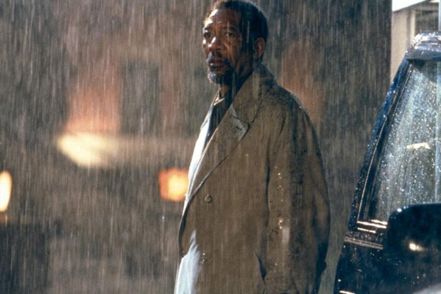 Фото - И пришел паук: 900x600 / 66.27 Кб