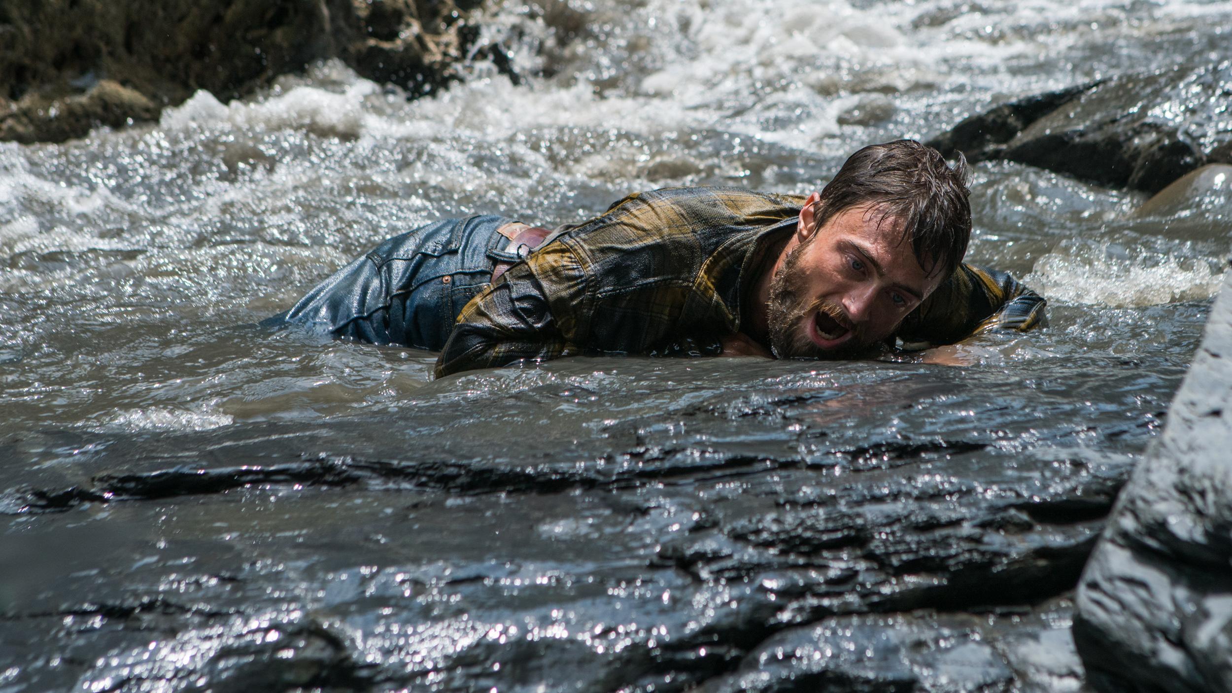 Фото - Джунгли: 2500x1406 / 488.03 Кб