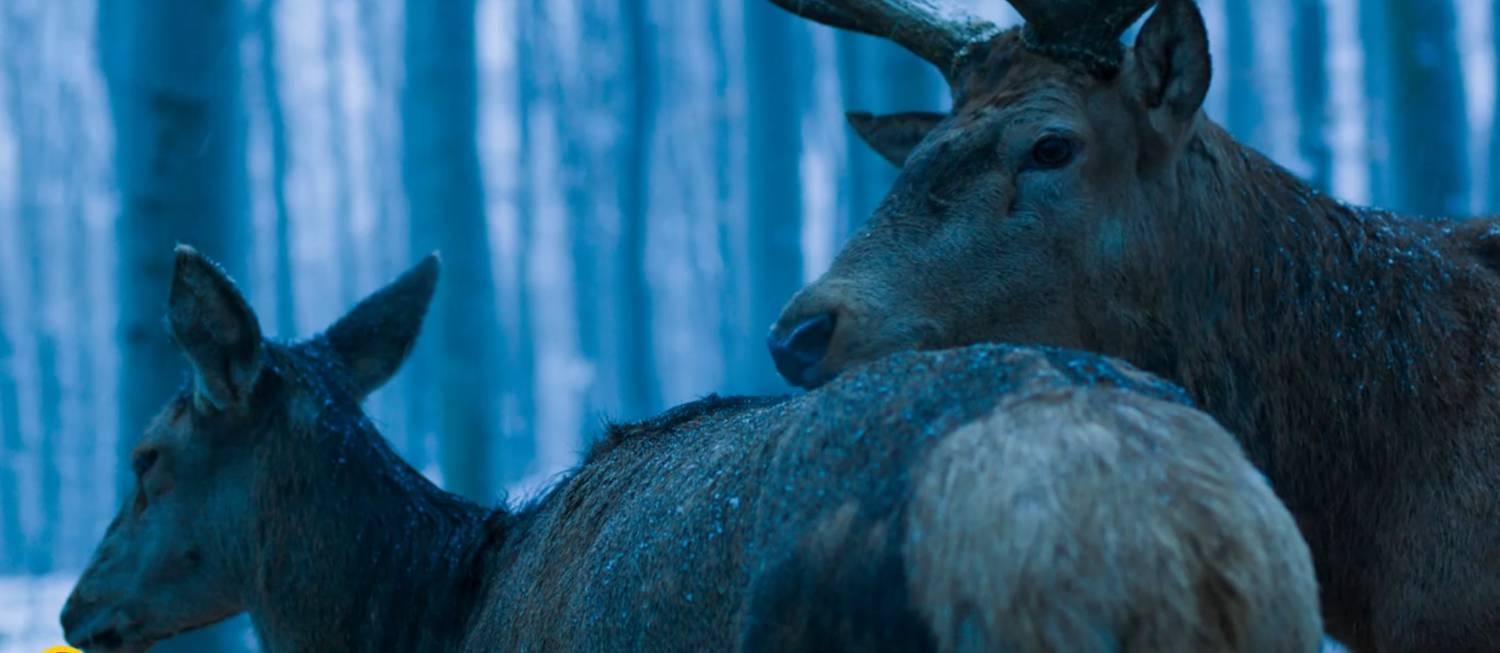 Фото - О теле и душе: 1500x653 / 79.32 Кб