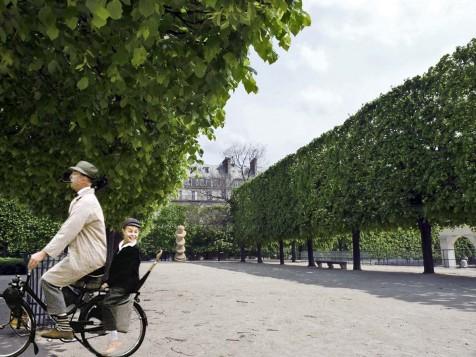 Фото - Мой дядюшка: 476x357 / 34.38 Кб