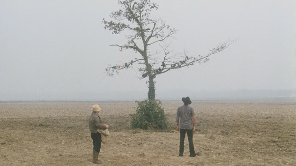 Фото - Укрощение строптивого: 1024x576 / 49.02 Кб