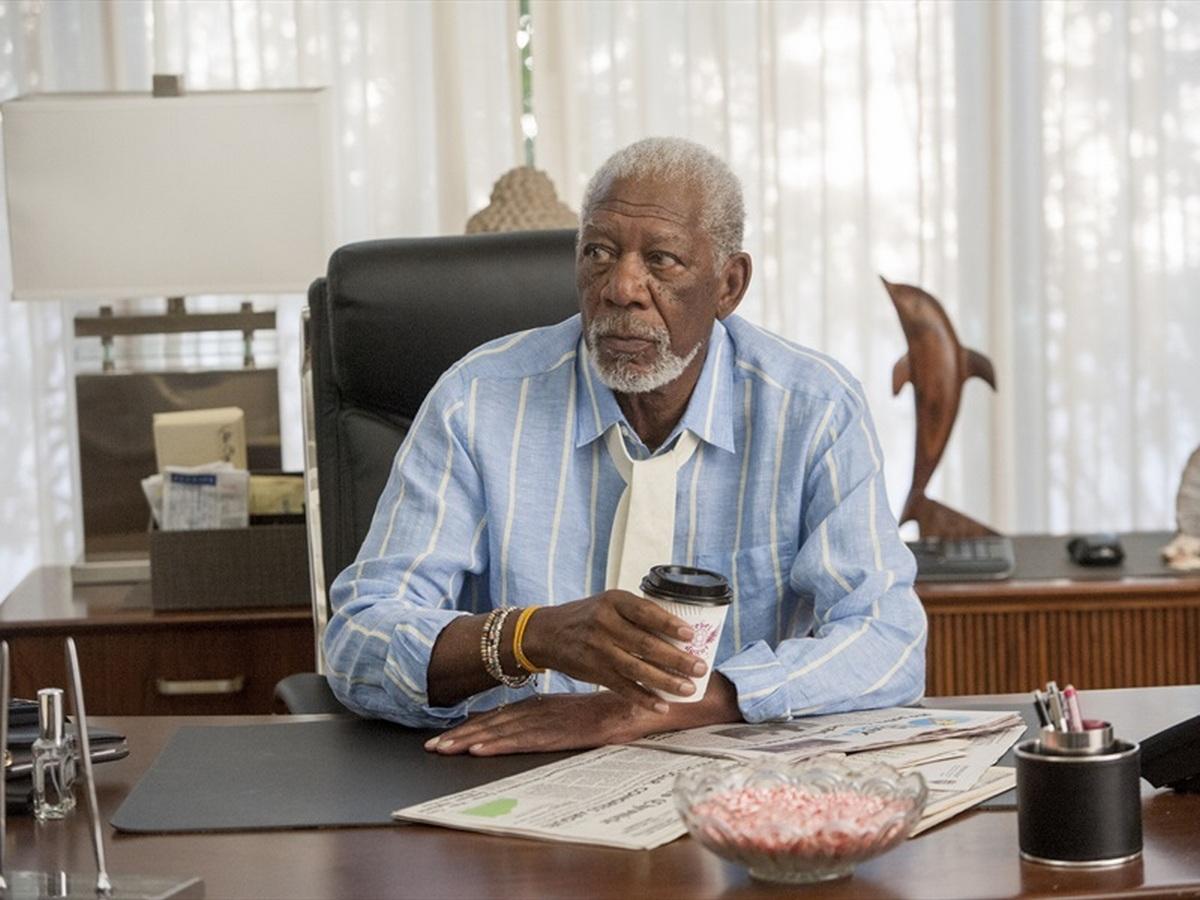 Фото - Все только начинается: 1200x900 / 109.4 Кб